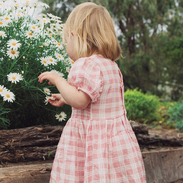 Shirred Dress - Blush Check