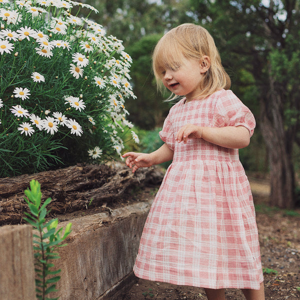 Shirred Dress - Blush Check