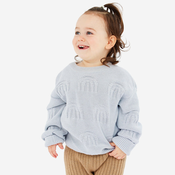 Sky Blue Rainbow Jumper & Beanie Set